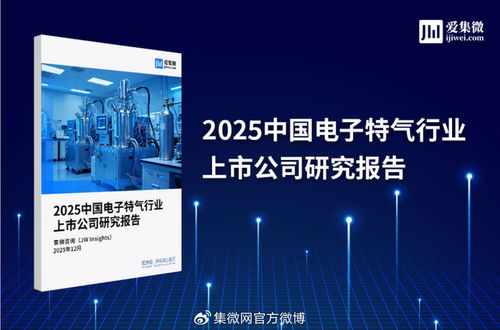 2025中国电子特气行业上市公司研究报告 技术开发及技术咨询领域深度剖析